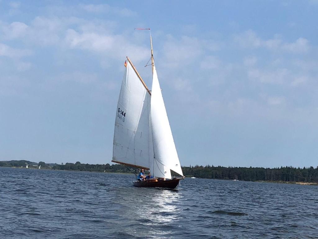 Smaug auf der Schlei